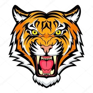 Meet your Posher, Mandy